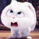 SnowBall